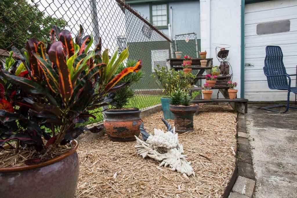 Big Easy Charmer License #23-Ostr-12410 New Orleans Exterior photo